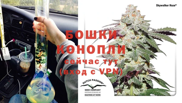 сатива Киренск