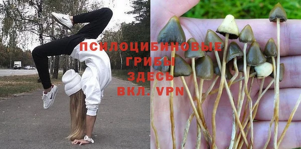 сатива Киренск