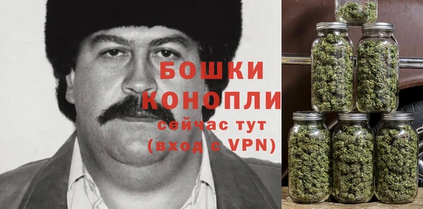 сатива Киренск