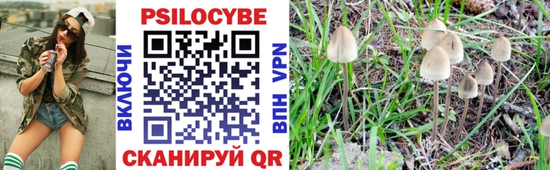 Галлюциногенные грибы GOLDEN TEACHER  Купить где  Краснослободск 